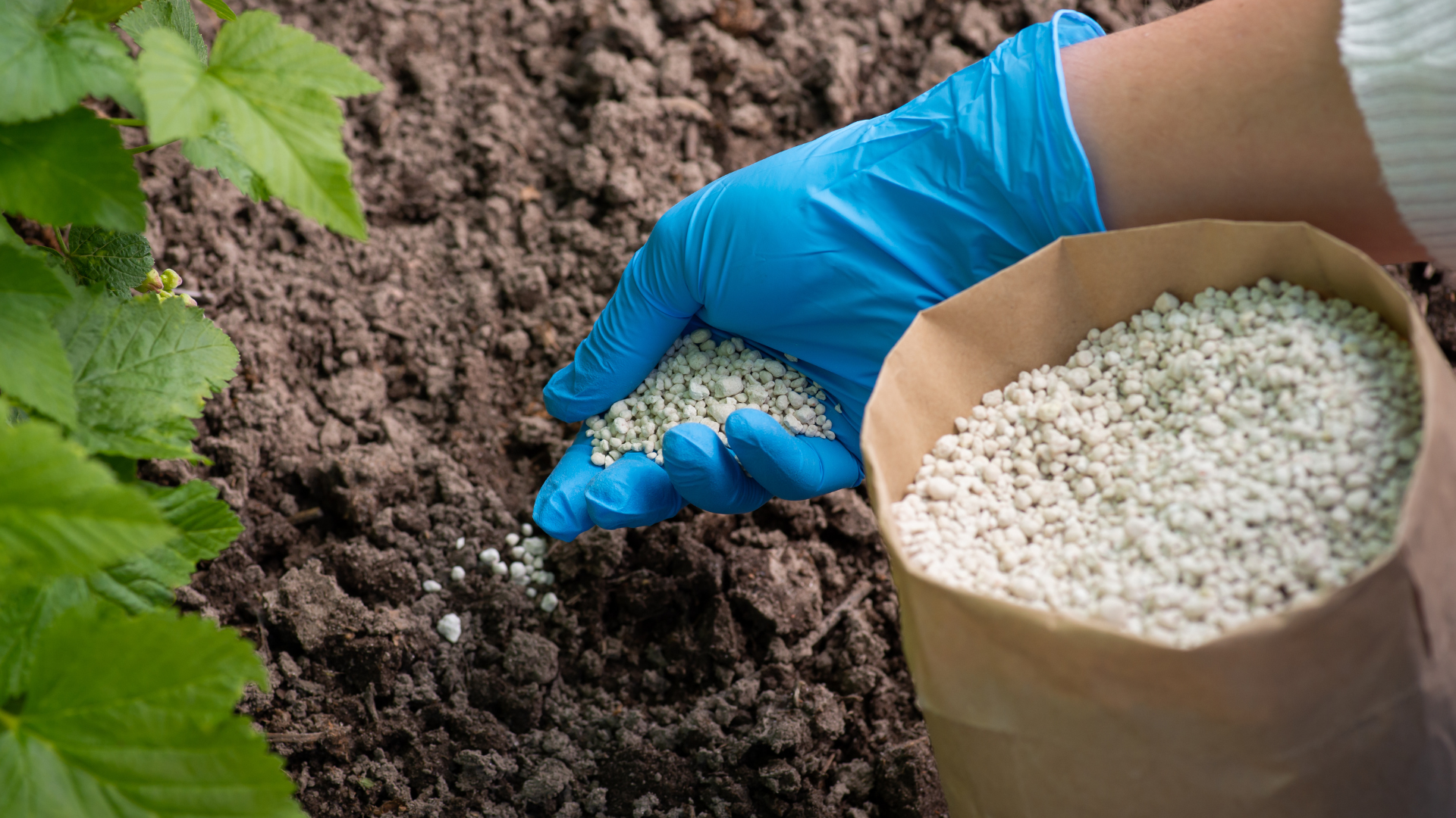 Pollution free Fertilizer